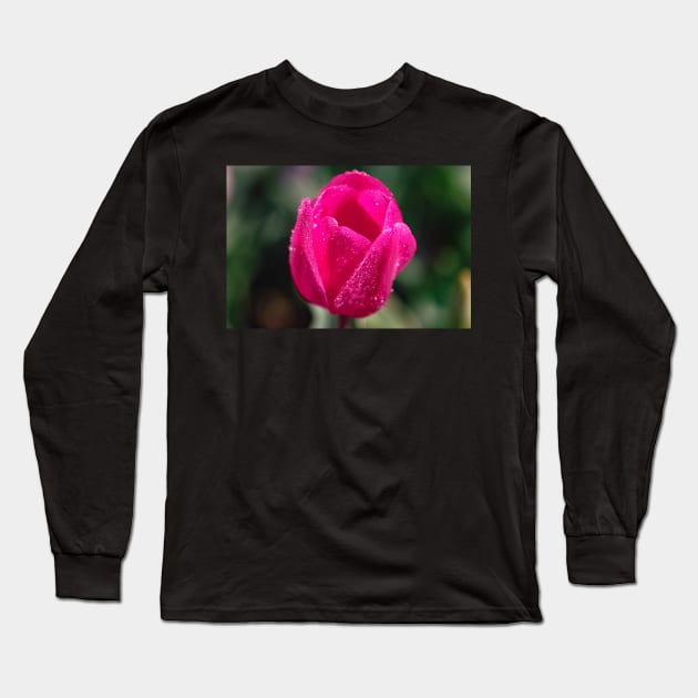 Pink tulip flower Long Sleeve T-Shirt by blossomcophoto